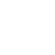 Paint icon
